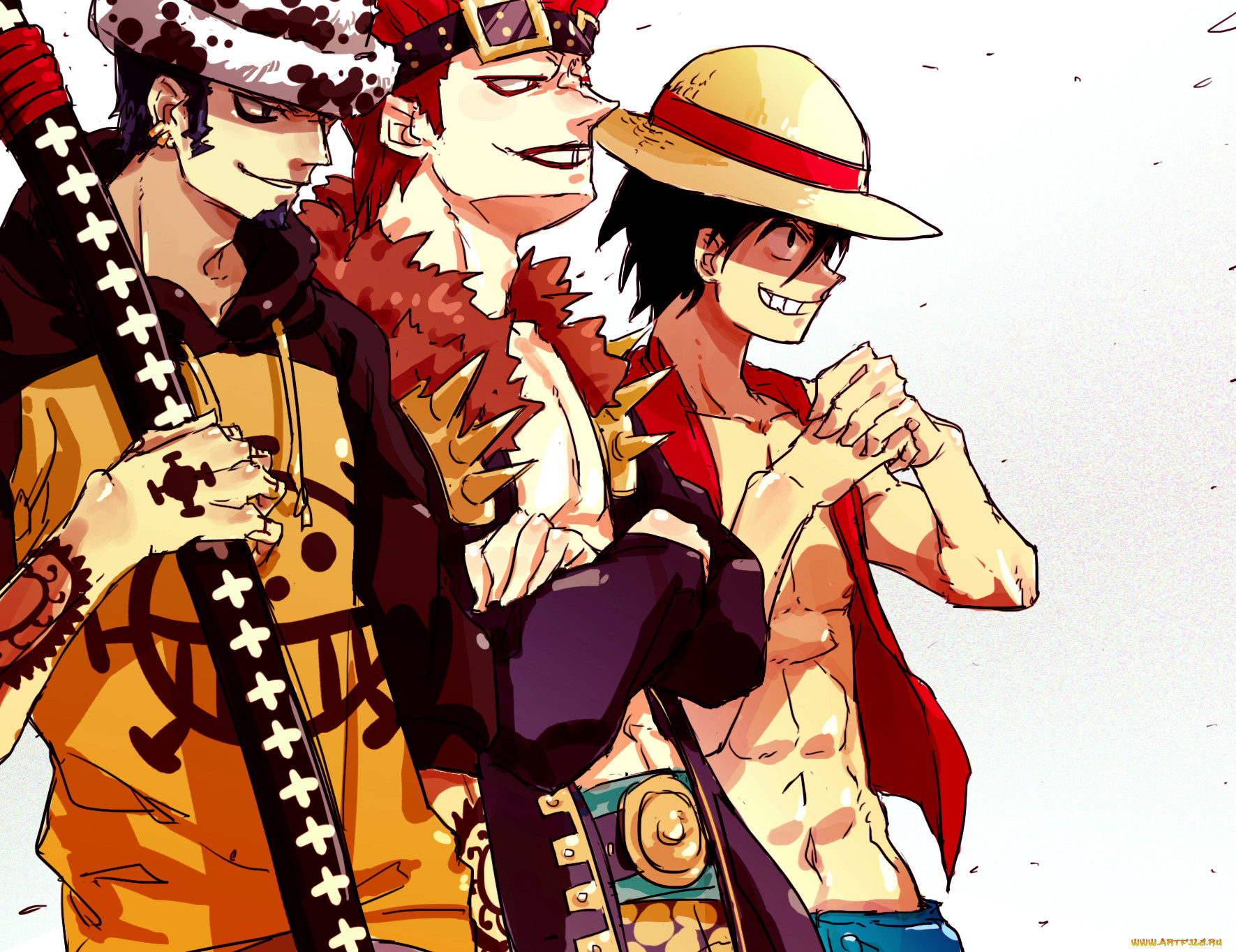 , one, piece, trafalgar, law, eustass, kid, monkey, d, luffy